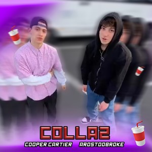 Colla 2