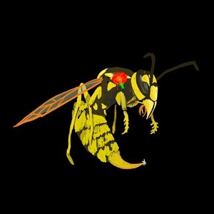 depresion post peda (Explicit)