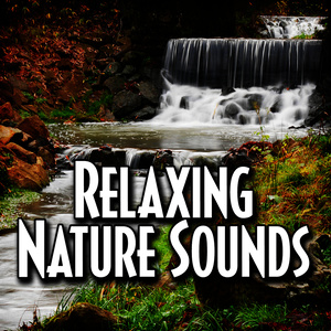 Gentle Stream to Help You Sleep with Nature Sound