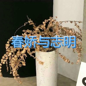 献天缘 (吃鸡版)