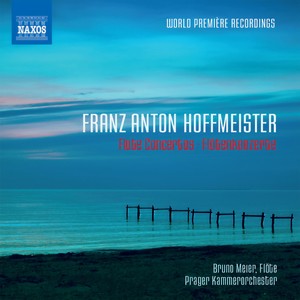 Flute Concerto No. 21 in D Major - III. Rondo: Allegro (第三乐章 回旋曲)