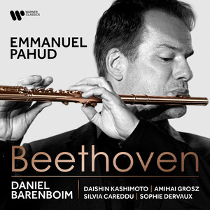 Beethoven: Serenade in D Major, Op. 25 - II. Tempo ordinario d'un Menuetto