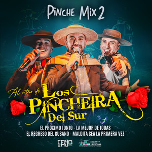 Pinche Mix 2