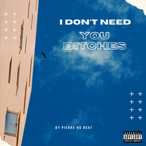 I Dont Need You ******* (Explicit)