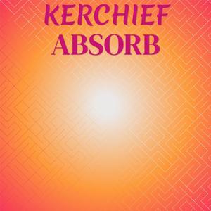 Kerchief Absorb