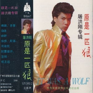 黑暗的沉思封面