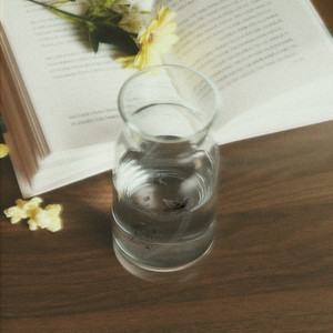 스물아홉의 일기장 (feat. 윤가윤) (29岁的日记本)