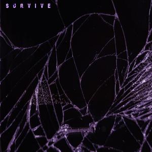 Survive (feat. Quinn G)