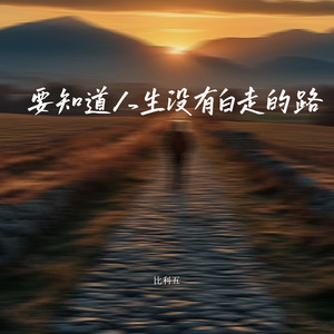 要知道人生没有白走的路