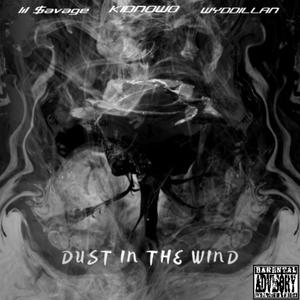 DUST IN THE WIND (feat. KidNoWo & Wyddillan) (Explicit)