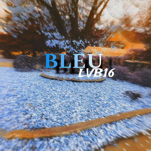 BLEU (Explicit)