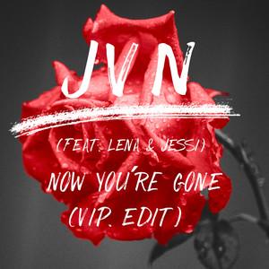 now you're gone (VIP Edit) [Explicit]