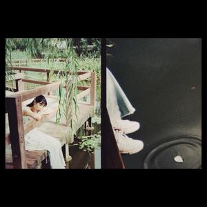 호숫가에 꽃잎 하나