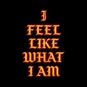 I FEEL LIKE WHAT I AM