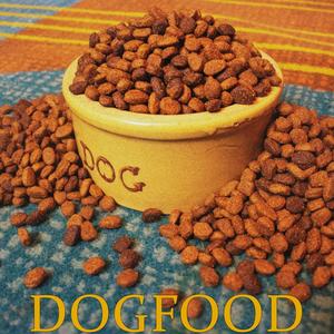 Dogfood (feat. XLOGAN!) [Explicit]