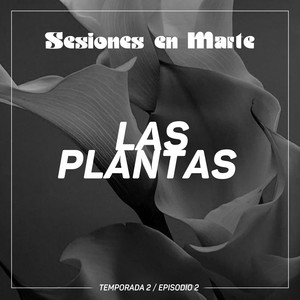 Episodio 8 Las Plantas