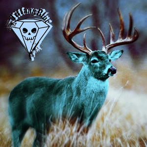 BUCK DEN A *****!!! (Explicit)