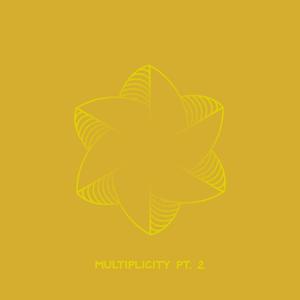 Multiplicity Volume 2 (Explicit)