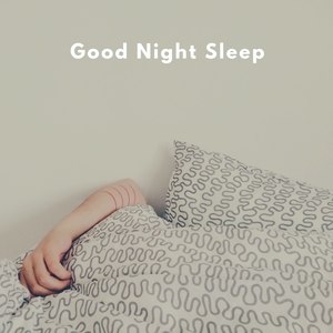 Good Night Sleep