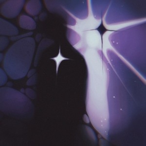 Bfap (Prod. By Fuckthecurlyboy|Explicit)