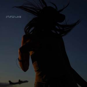 Stupid Love