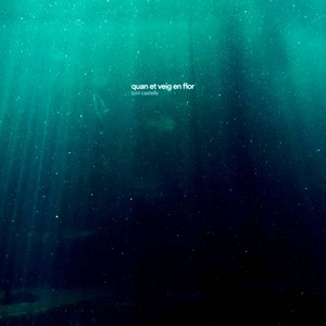 Quan et Veig en Flor (Instrumental)