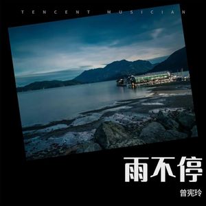 雨不停 - 曾宪玲封面