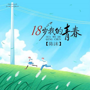十八岁我的青春