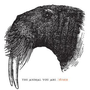 The Animal You Are