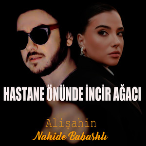 Hastane Önünde İncir Ağacı