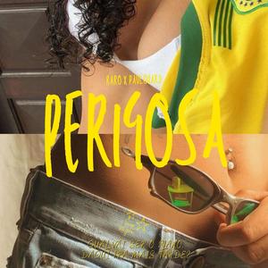 Perigosa (feat. PauloHard) (Explicit)