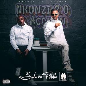 Standing on Bizzniss (feat. Mac 11) (Explicit)
