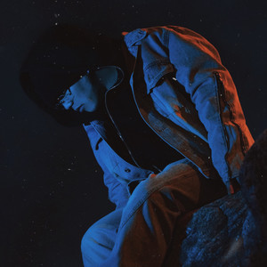 멍든 장미 (bruised rose)