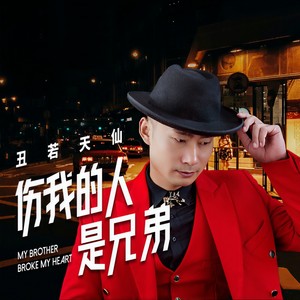 伤我的人是兄弟