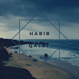 HABIB QALBI