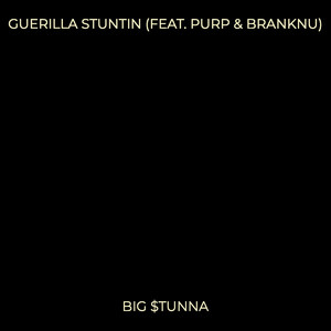 Guerilla Stuntin (Explicit)