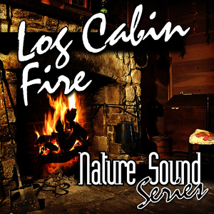 Log Cabin Fire