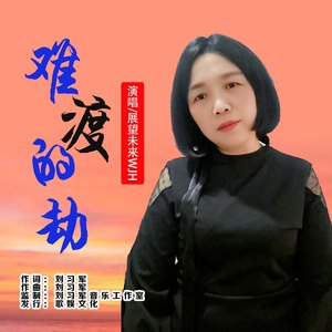 难渡的劫