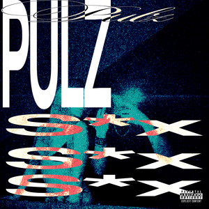 PULZ (S*X REMIX|Explicit)