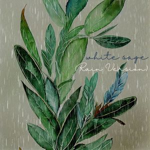 White Sage (Rain Version)