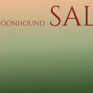 Coonhound Sal