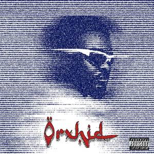 PAPITO (Explicit)
