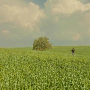 טיפות של טל