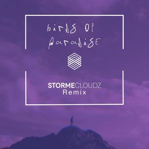 Birds of Paradise (feat. Earl D) [Stormecloudz Remix]