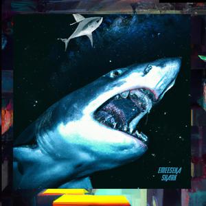 Shark 2023 (Explicit)