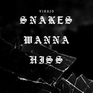 Snakes Wanna Hiss (Explicit)