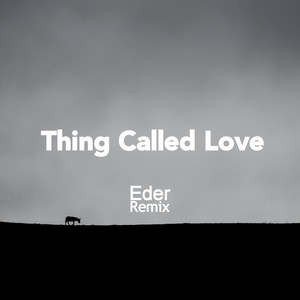 Thing Called Love(Eder Remix)