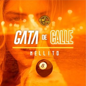 Gata de Calle