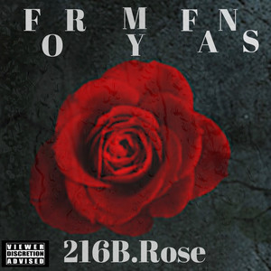 In My Feelings (Explicit)