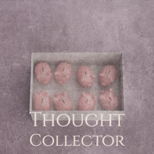Thought Collector